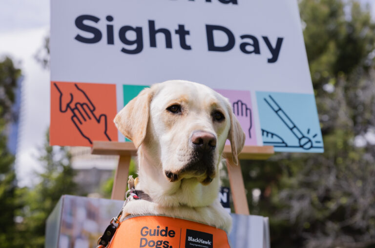 Celebrating World Sight Day 2025!