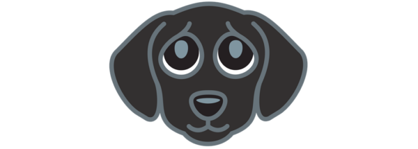 Guide Dogs Day is coming!